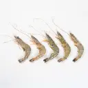 Tiger Prawn/Bagda Chingri Whole - 2 Kg