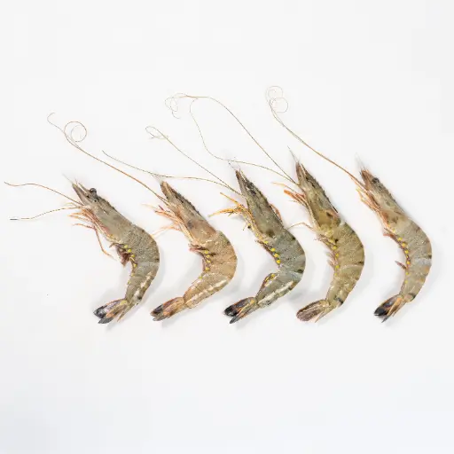 Tiger Prawn/Bagda Chingri Whole - 2 Kg