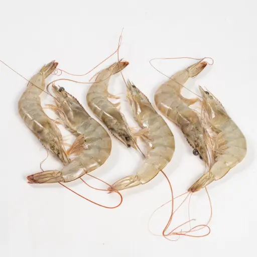 White Prawn/Chapra Chingri Whole  - 2 Kg