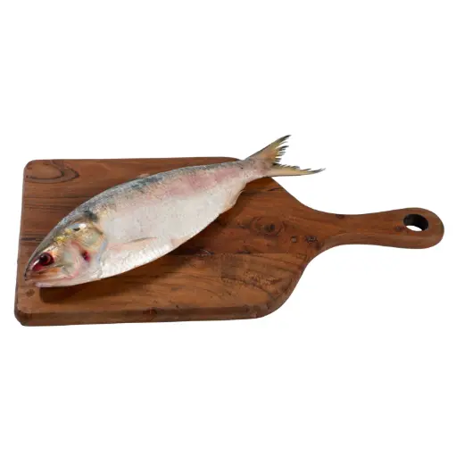 Hilsa / Ilish Gada Peti With Head - 2 Kg